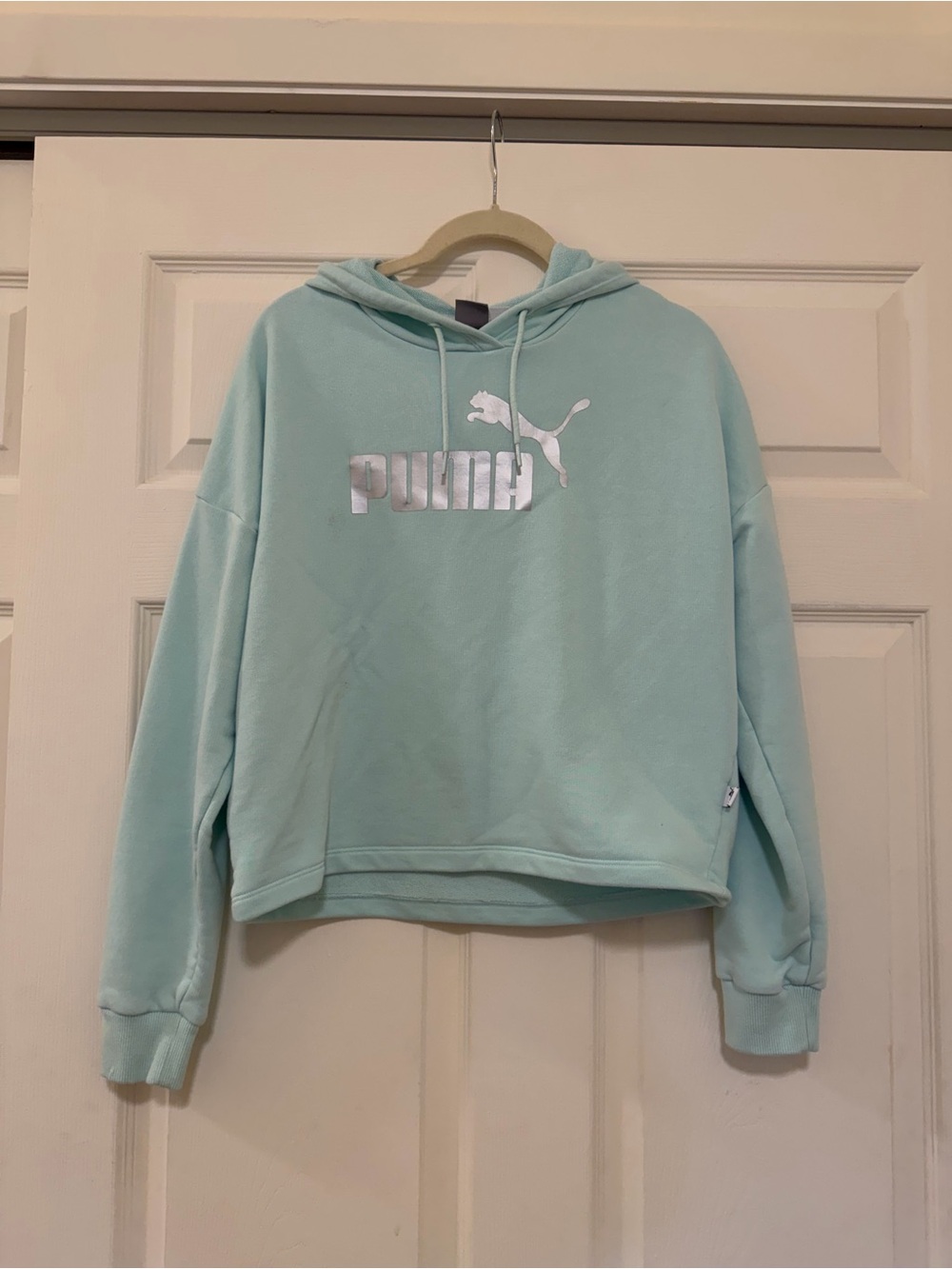 Puma Women's Mint Green Logo Hoodie